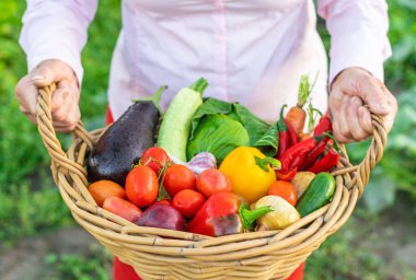Sebze pazarında. Seçici odaklanma. Yiyecek..