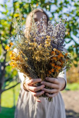 Kurumuş şifalı otları olan bir kadın. Seçici odaklanma. Doğa.