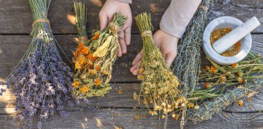 Kurumuş şifalı otları olan bir kadın. Seçici odaklanma. Doğa.