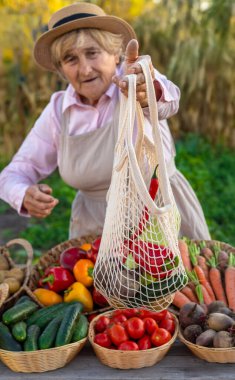 Sebze pazarında. Seçici odaklanma. Yiyecek..