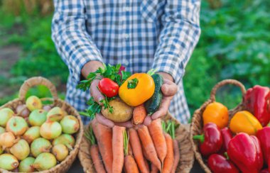 Çiftçi pazarında sebzeli bir çiftçi. Seçici odaklanma. Yiyecek..