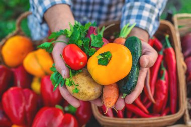 Çiftçi pazarında sebzeli bir çiftçi. Seçici odaklanma. Yiyecek..