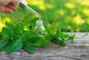 Fesleğen yağı ve takviyeler. Seçici odaklanma. Doğa.