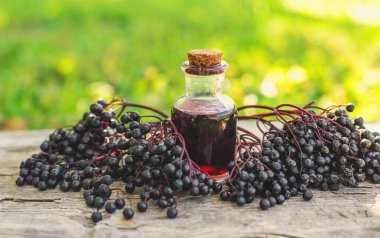 Mürver tentürü ve takviyeler. Seçici odaklanma. Doğa.