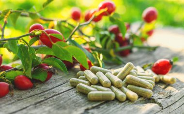 Gül kalçasından takviye ve özüt. Seçici odaklanma. Doğa.