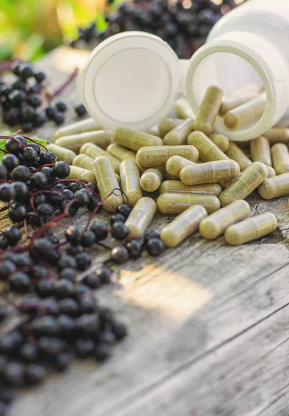 Mürver tentürü ve takviyeler. Seçici odaklanma. Doğa.