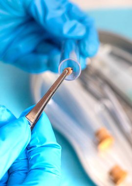 Laboratuvarda analiz için keneler var. Seçici odaklanma. hayvan.