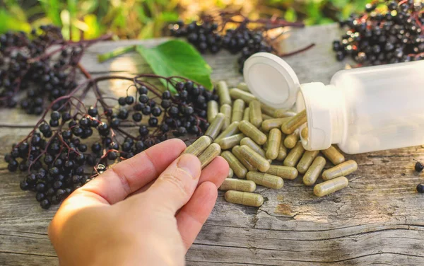 Mürver tentürü ve takviyeler. Seçici odaklanma. Doğa.