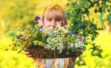 Çayırda şifalı otları olan bir kadın. Seçici odaklanma. Doğa.
