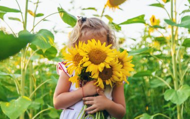 Ayçiçeği tarlasında nakışlı gömlek giyen bir çocuk. Seçici odaklanma. Doğa.