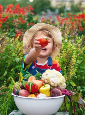 Bahçede sebzeli çocuk. Seçici odaklanma. Yiyecek..