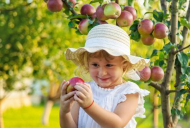 Bahçede elmalı çocuk. Seçici odaklanma. Çocuk.