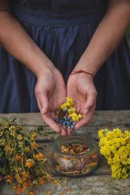Bir kadın elinde şifalı bitkiler tutar. Seçici odaklanma. Doğa.