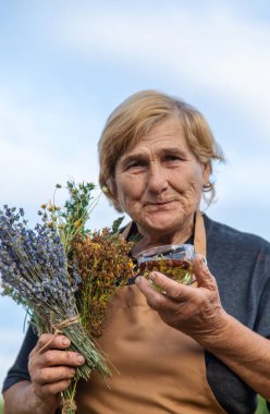 Yaşlı bir kadın bitki çayı yapar. Seçici odaklanma. İç..