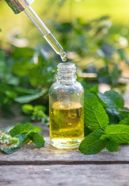 Şişe içindeki nane yağı. Seçici odaklanma. Doğa.