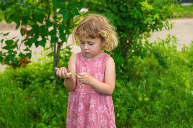 Elinde salyangoz tutan bir çocuk. Seçici odaklanma. Doğa.
