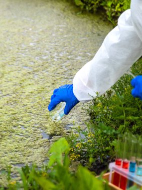 Nehirden bir su örneği al. Seçici odaklanma. Doğa.