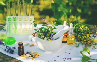 Şifalı bitkiler homeopati ve alternatif tıp. Seçici odaklanma. Doğa.