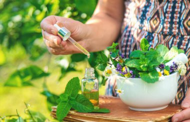 Şifalı bitkiler homeopati ve alternatif tıp. Seçici odaklanma. Doğa.