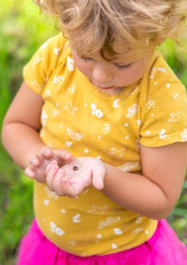 Bir çocuk uğur böceğini elinde tutar. Seçici odaklanma. Doğa.
