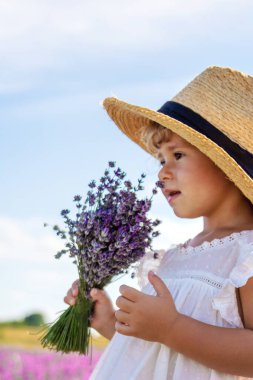 Lavanta tarlasında bir çocuk. Seçici odaklanma. Doğa.