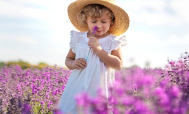 Lavanta tarlasında bir çocuk. Seçici odaklanma. Doğa.