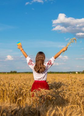 Ukrayna bayrağıyla buğday tarlasında bir çocuk. Seçici odaklanma. Doğa.