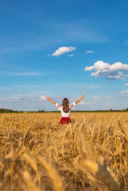 Vyshyvanka 'da buğday tarlasında Ukraynalı bir çocuk. Seçici odaklanma. Doğa.