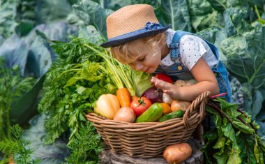 Bir çocuk bahçede sebze topluyor. Seçici odaklanma. Yiyecek..