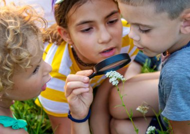 Çocuklar birlikte bahçedeki bitkilere büyüteçle bakıyorlar. Seçici odaklanma. Çocuk.