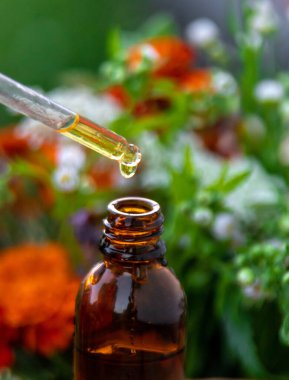 Bitkilerden ve çiçeklerden oluşan temel yağ damlaları. Seçici odaklanma. Doğa.