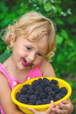 Bahçedeki bir çocuk böğürtlen yer. Seçici odaklanma. Çocuk.