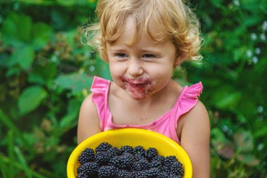 Bahçedeki bir çocuk böğürtlen yer. Seçici odaklanma. Çocuk.
