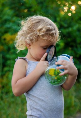 Bir çocuk elinde büyüteçle kavanoza bakar. Seçici odaklanma. Çocuk.