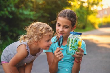 Bir çocuk elinde büyüteçle kavanoza bakar. Seçici odaklanma. Çocuk.