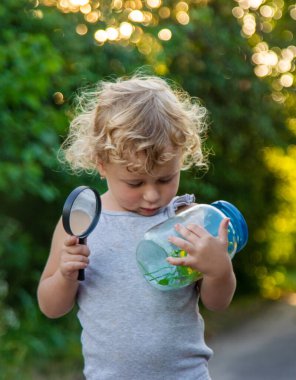 Bir çocuk elinde büyüteçle kavanoza bakar. Seçici odaklanma. Çocuk.