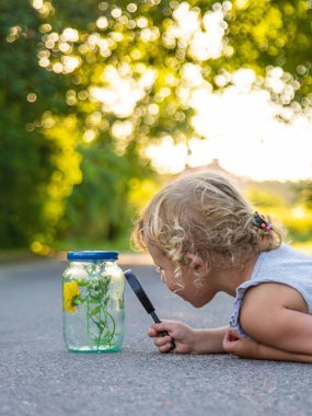 Bir çocuk elinde büyüteçle kavanoza bakar. Seçici odaklanma. Çocuk.