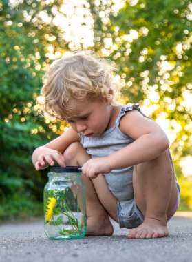 Bir çocuk elinde büyüteçle kavanoza bakar. Seçici odaklanma. Çocuk.