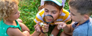 Çocuklar birlikte bahçedeki bitkilere büyüteçle bakıyorlar. Seçici odaklanma. Çocuk.
