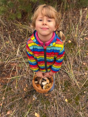 Bir çocuk ormanda mantar tutuyor. Seçici odaklanma. Doğa.