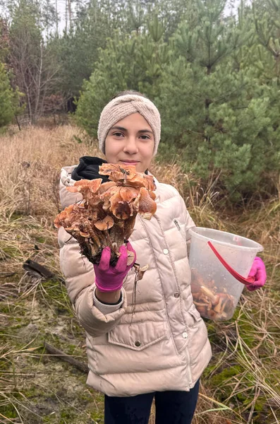 Bir çocuk ormanda mantar tutuyor. Seçici odaklanma. Doğa.