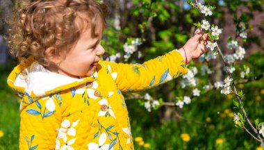 Bahçedeki bir çocuk çiçek açan bir bahar ağacını kokluyor. Seçici odaklanma. Çocuk.