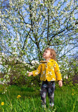 Bahçedeki bir çocuk çiçek açan bir bahar ağacını kokluyor. Seçici odaklanma. Çocuk.
