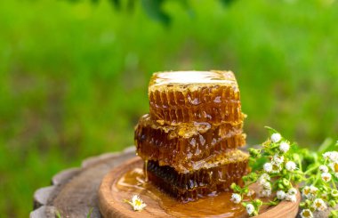 Bahçede ev yapımı bal. Seçici odaklanma. Yiyecek..