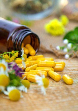 İlaveler, şifalı bitkiler ve çiçekler. Seçici odaklanma. Doğa.