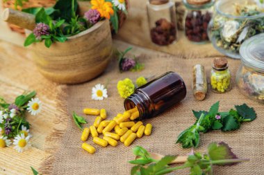 İlaveler, şifalı bitkiler ve çiçekler. Seçici odaklanma. Doğa.
