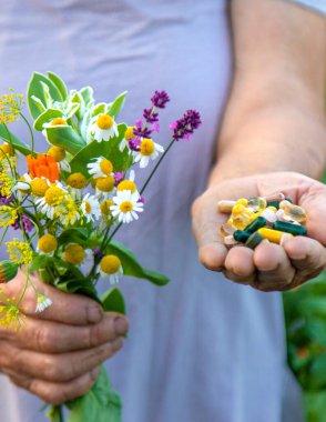 Yaşlı bir kadın elinde şifalı bitkiler ve çiçekler tutuyor. Seçici odaklanma. Doğa.