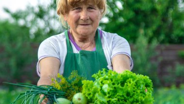 Bir kadın çiftçi elinde sebze hasadı tutuyor. Seçici odaklanma. Yiyecek..