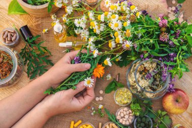 Şifalı bitkiler ve elinde çiçekler. Seçici odaklanma. Doğa.