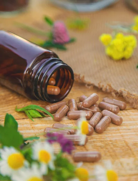 İlaveler, şifalı bitkiler ve çiçekler. Seçici odaklanma. Doğa.